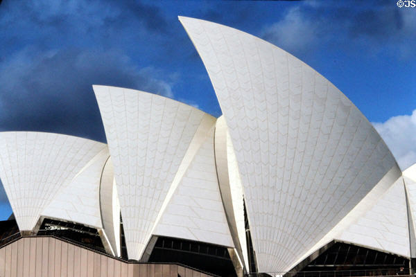 Sculptural white roof of Sydney Opera House. Sydney, Australia.