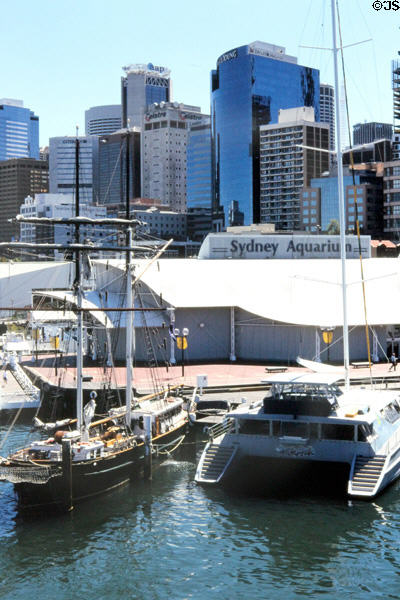 Tall ship before Sydney Aquarium in front of skyline. Sydney, Australia.