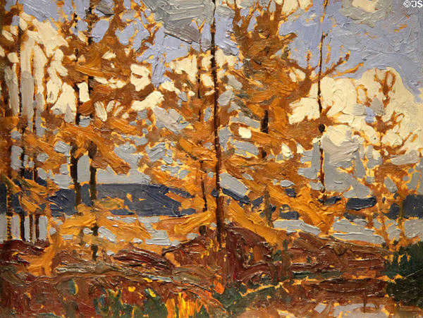 Tamaracks painting on board (1915) by Tom Thomson at McMichael Gallery. Kleinburg, ON.