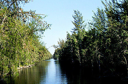 Canal to Lagunde Tesoir, Guama. Cuba.