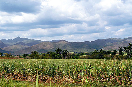 Scenery between Trinidad & Sancti Spiritus. Cuba.