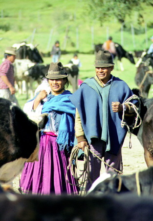 Locals buy and barter animals at the market in famous market of Otavalo. Ecuador.
