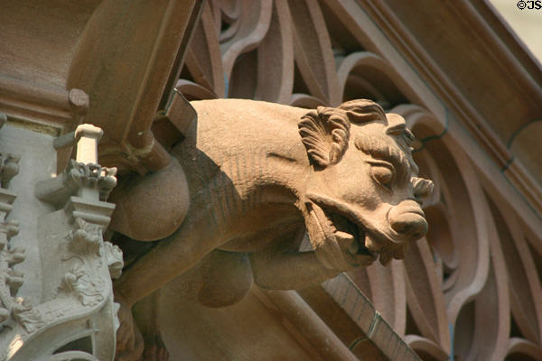 Gargoyle on Cathedral. Strasbourg, France.