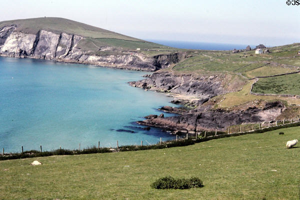 Coastline of Dingle Peninsula. Ireland.