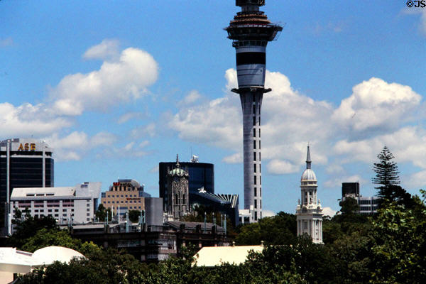 Skyline of Auckland from Parnell. Auckland, New Zealand.