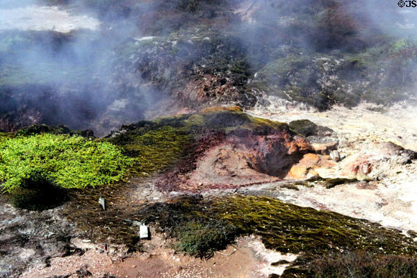 Craters of the Moon, Taupo. New Zealand.