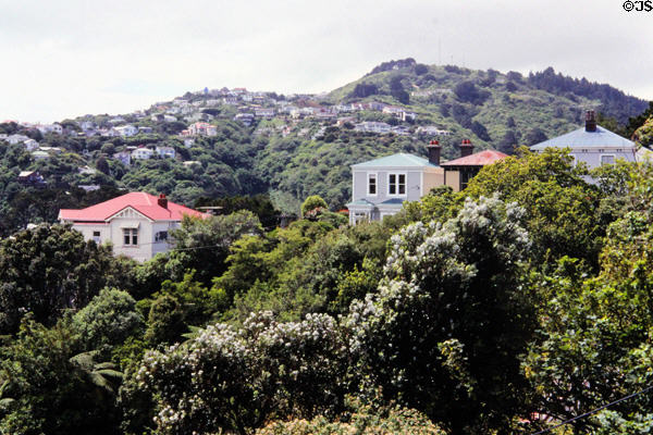 Houses near the top of cable car route in Wellington. Wellington, New Zealand.