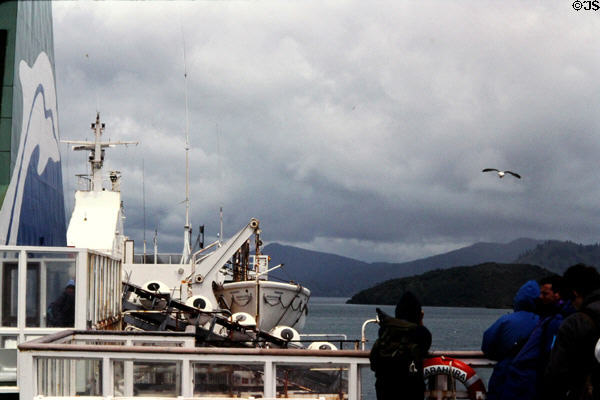 On board the ferry to South Island. New Zealand.