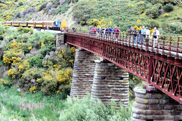 Passengers step off train to view gorge on Taieri Gorge Rail Road. New Zealand.