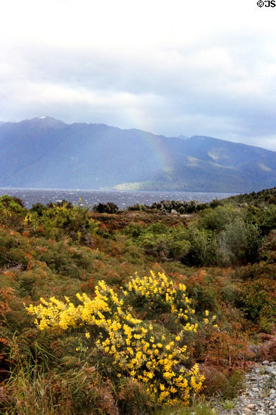 Rainbow over Lake Te Anau. New Zealand.
