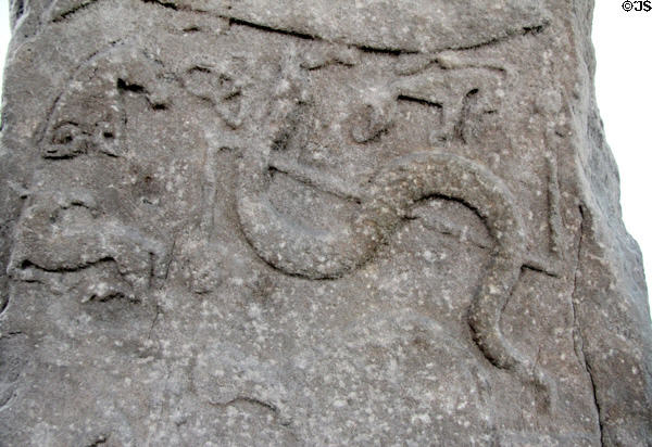 Pictish cross-slab (back of #1) detail of Pictish symbols of fish, snake & other beast including camel at Meigle Sculptured Stone Museum. Meigle, Scotland.
