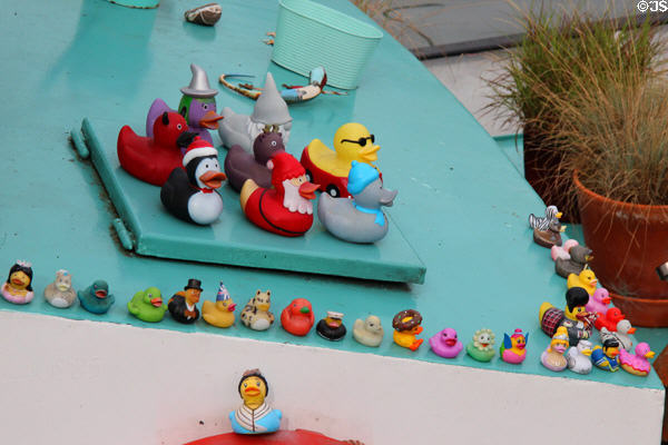 Large collection of decorative duck figures exhibited on pleasure boat at Floating Harbour. Bristol, England.