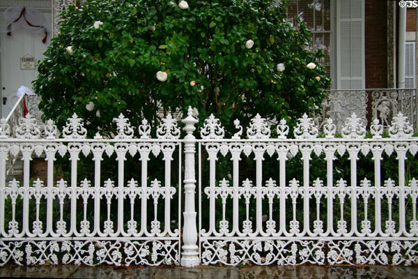 Cast iron fence panel at Richards-DAR House Museum. Mobile, AL.