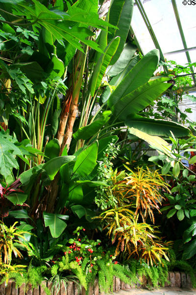 Tropical gardens of Bellingrath. Theodore, AL.