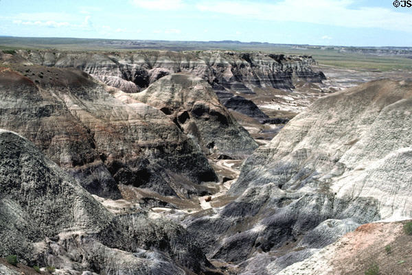 Petrified Forest National Park Blue Mesa area. AZ.