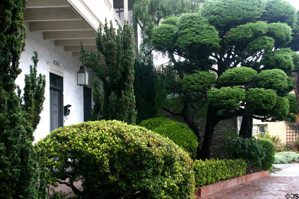 Casa Amesti with sculpted trees. Monterey, CA.