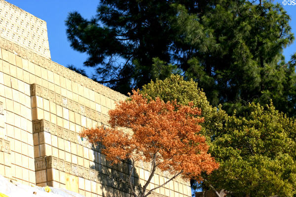 Knit-block design by Wright on Ennis House. Los Angeles, CA.