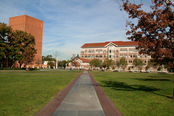 Waite Phillips Hall & Leavey Library over McCarthy Quad at USC. Los Angeles, CA.