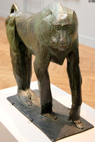 Hamadryas Baboon bronze sculpture (c1910) by Rembrandt Bugatti of Italy at Legion of Honor Museum. San Francisco, CA.