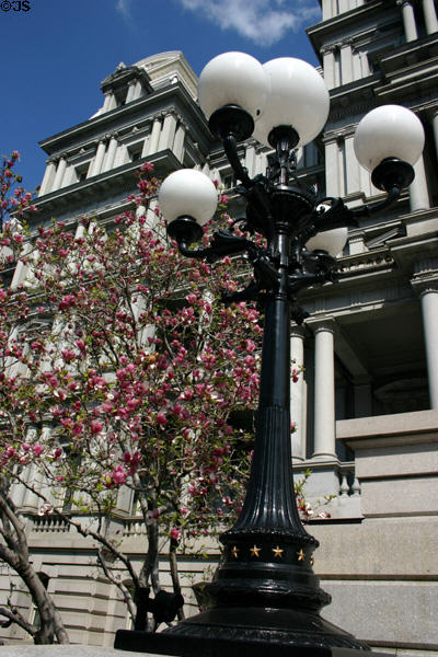 Old Executive Office Building lamp stand with blossoms. Washington, DC.