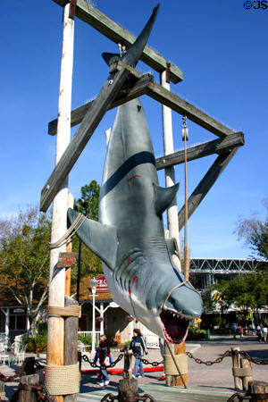 Jaws the shark captured at Universal Studios. Orlando, FL.