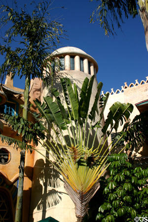 Exotic plants in Port of Entry village at Islands of Adventure. Orlando, FL.