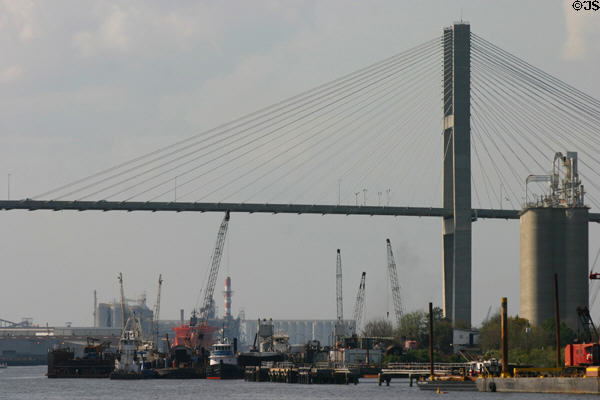Cable-stays of Talmadge Memorial Bridge. Savannah, GA.