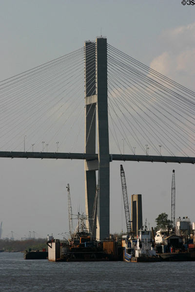 Cable-stays of Talmadge Memorial Bridge. Savannah, GA.