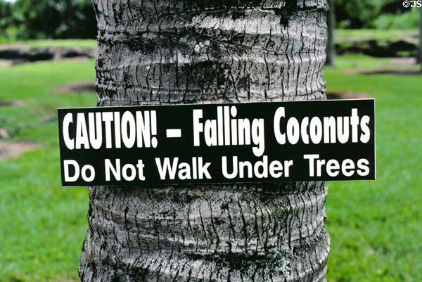 Coconut warning sign at National Tropical Garden in Kahanu. Maui, HI.