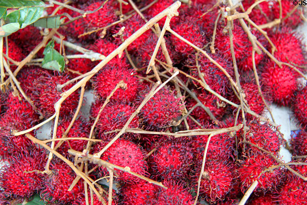 Lychee fruit for sale in Honolulu Chinatown. Honolulu, HI.