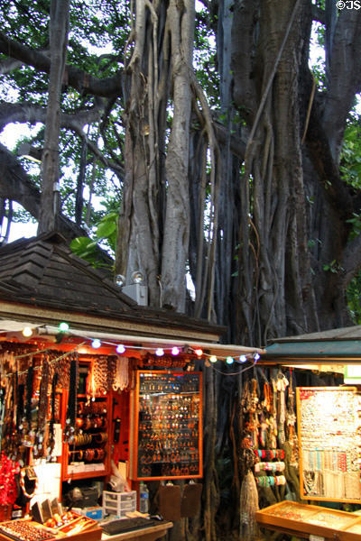 Shops under a Banyan Tree at Waikiki's International Market Place. Waikiki, HI.