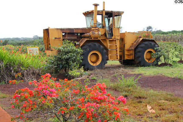 Wheeled tractor at Dole Plantation. HI.