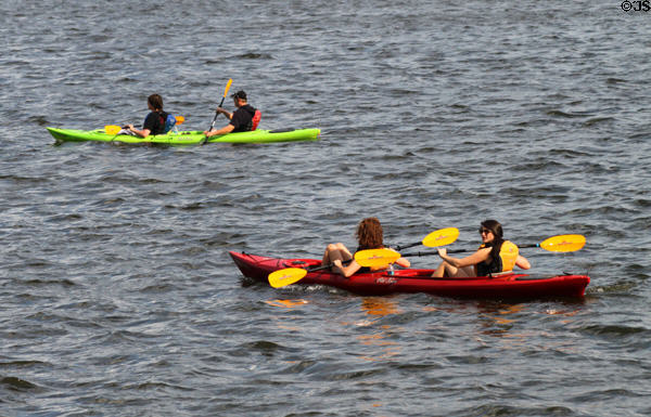 Kayakers on Boston's Charles River. Boston, MA.