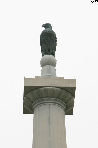 "Old Abe" war eagle mascot of 8th Wisconsin Infantry atop State Memorial. Vicksburg, MS.
