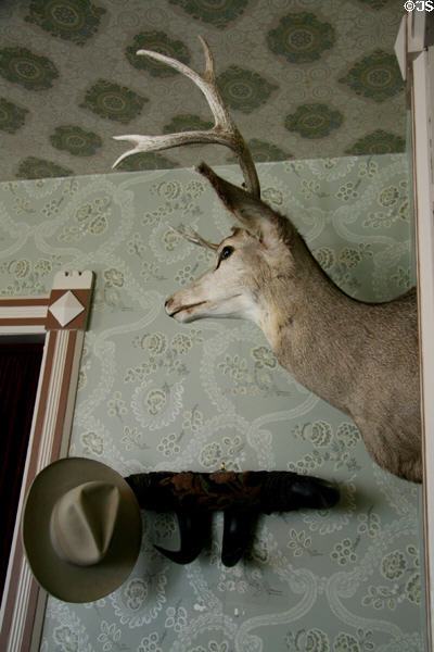 Pronghorn antelope trophy at Scout's Rest. North Platte, NE.