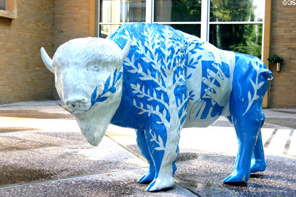 Israeli-themed painted Buffalo at Temple Beth Zion. Buffalo, NY.