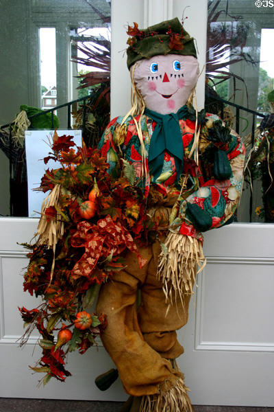 Scare crow in conservatory of Botanical Gardens. Buffalo, NY.
