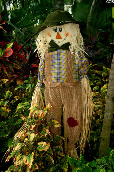Scare crow in conservatory of Botanical Gardens. Buffalo, NY.