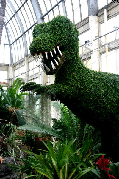 T-Rex topiary in conservatory of Botanical Gardens. Buffalo, NY.