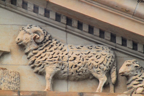 Pediment of Stark County Courthouse with detail of sheep. Canton, OH.