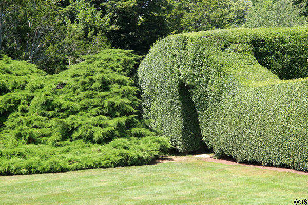Privet hedge leading to formal garden at Rough Point. Newport, RI.