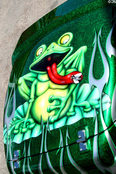 Frog catching fly on motorcycle trailer. Lead, SD.