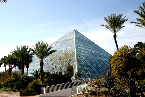 Rainforest pyramid amid palm trees at Moody Gardens. Galveston, TX.