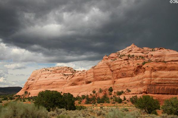 Rock formation above trees along Highway US191 south of Moab. UT.