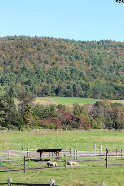Forested hills at Billings Farm & Museum. Woodstock, VT.