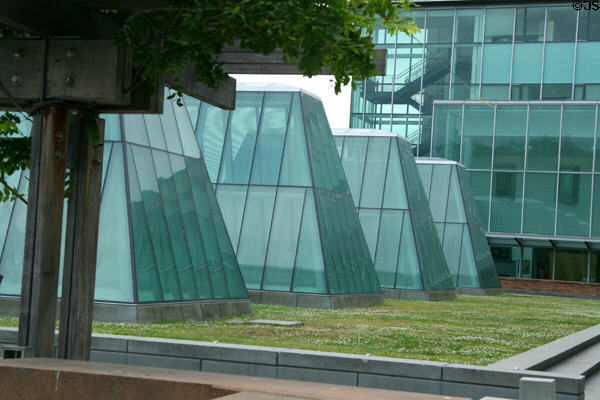 Skylights of William H. Gates Law School at University of Washington. Seattle, WA.