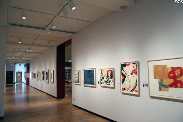 Paintings in art gallery at Discovery Museum of Clay Center for The Arts & Sciences. Charleston, WV.