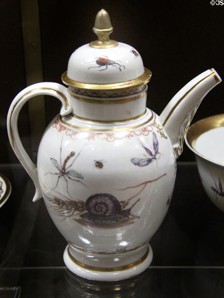 Porcelain coffee pot with snail & insects design (c1745) from Doccia, Italy at National Museum of Wales. Cardiff, Wales.