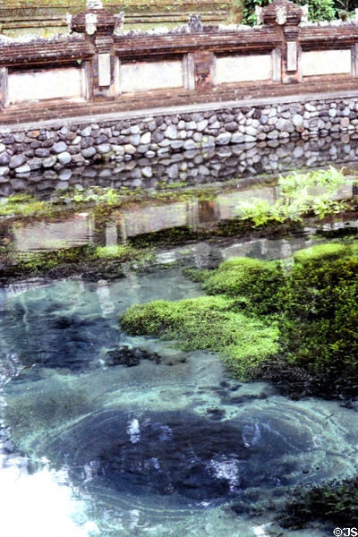Pool at temple complex. Bali, Indonesia.