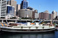 South Steyne ship docked at Darling Harbour. Sydney, Australia.